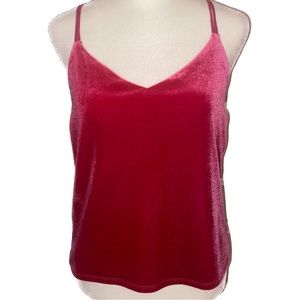 Express Velvet Top